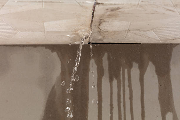 Professional Burst Pipe Cleanup technician working in Cantonment, FL